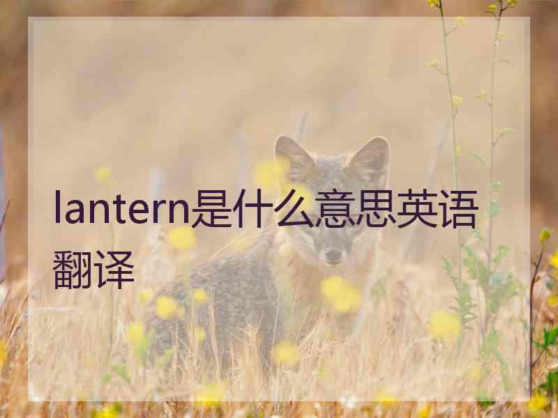 lantern是什么意思英语翻译