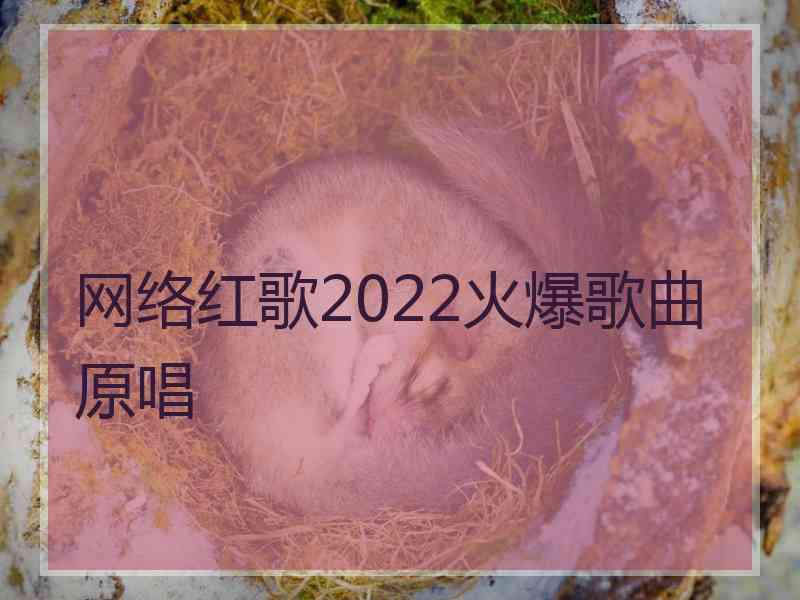 网络红歌2022火爆歌曲原唱