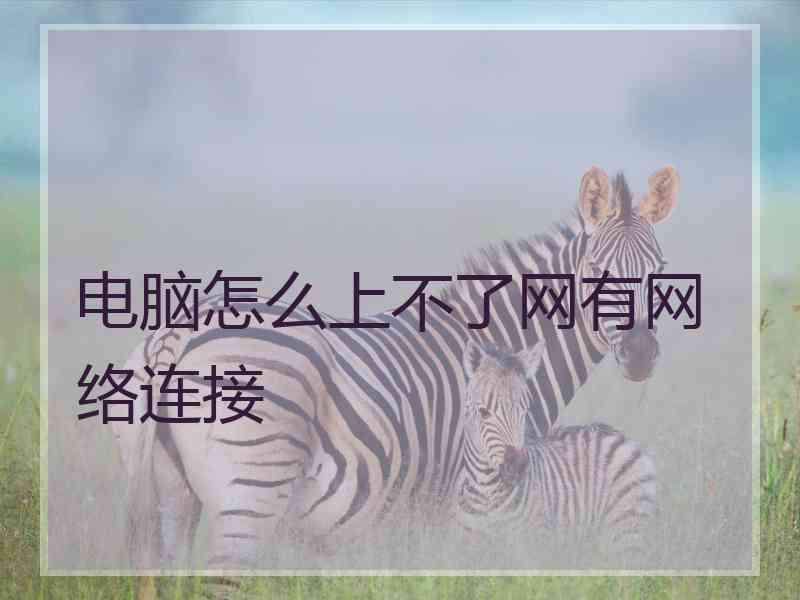 电脑怎么上不了网有网络连接