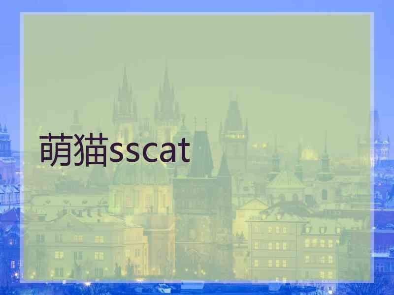 萌猫sscat