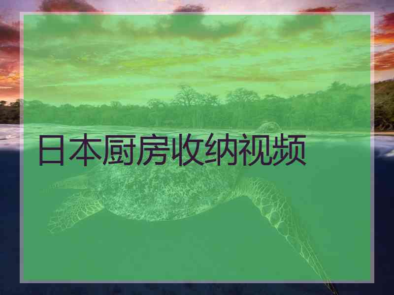 日本厨房收纳视频