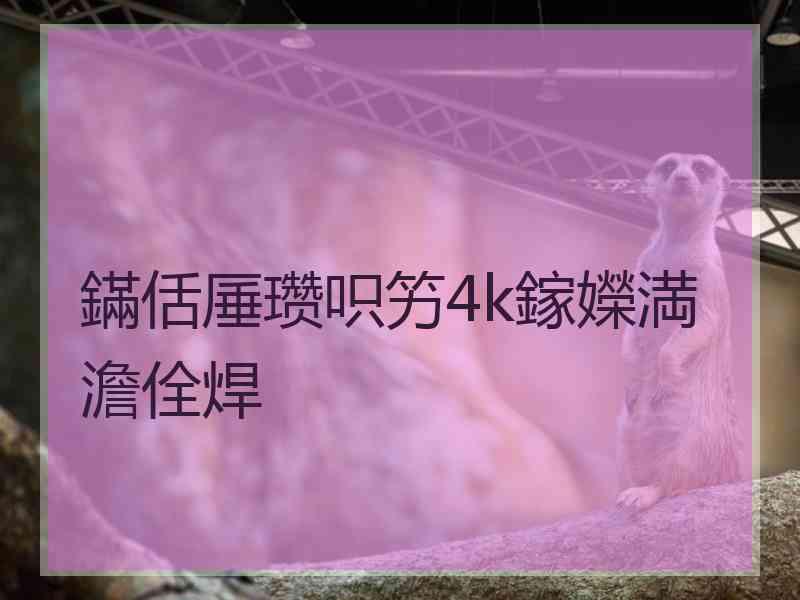 鏋佸厜瓒呮竻4k鎵嬫満澹佺焊