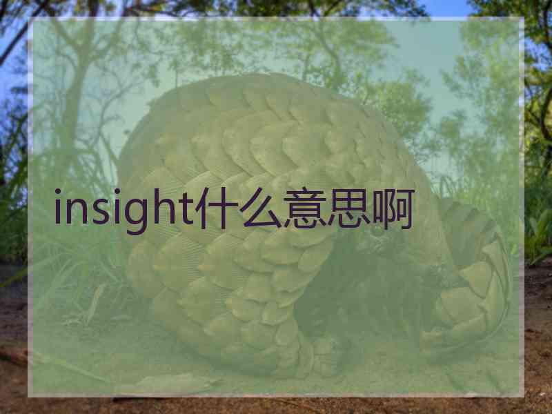 insight什么意思啊