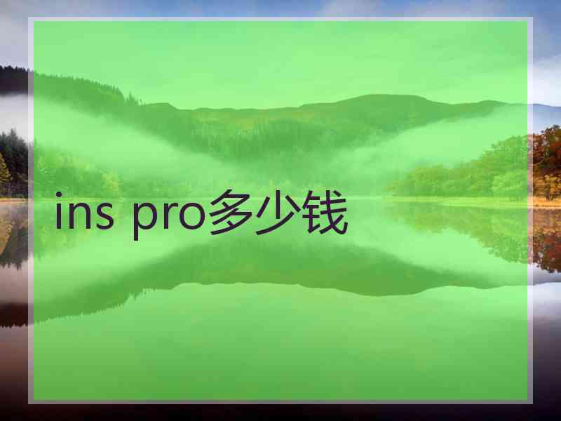 ins pro多少钱