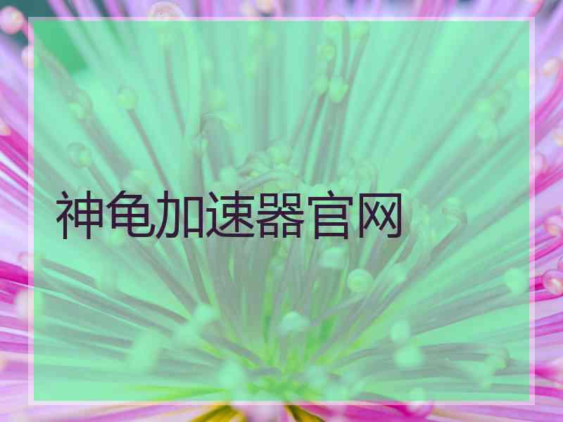 神龟加速器官网