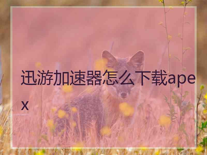 迅游加速器怎么下载apex