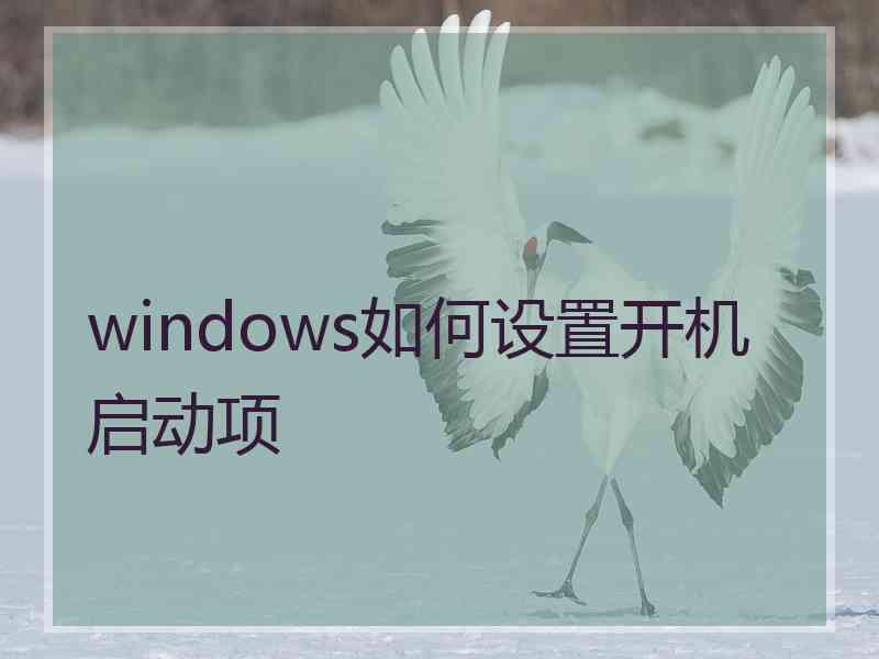 windows如何设置开机启动项