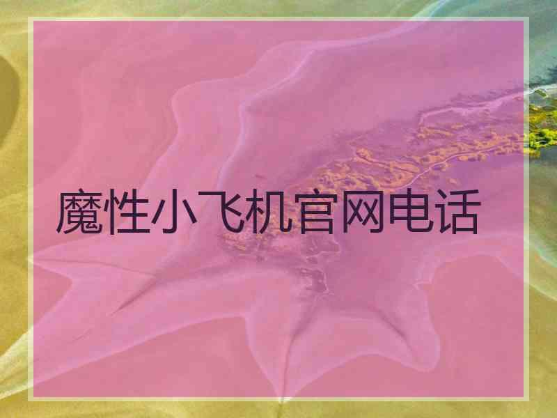 魔性小飞机官网电话