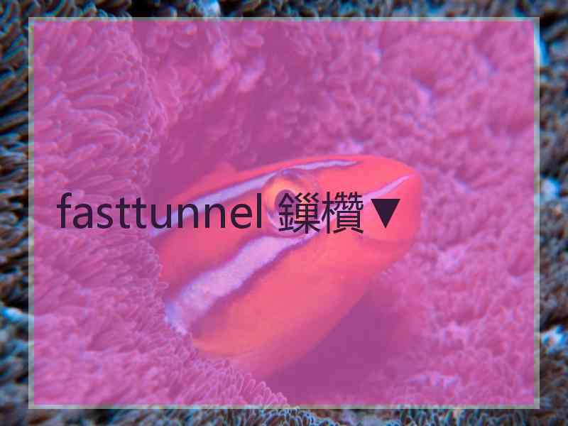 fasttunnel 鏁欑▼