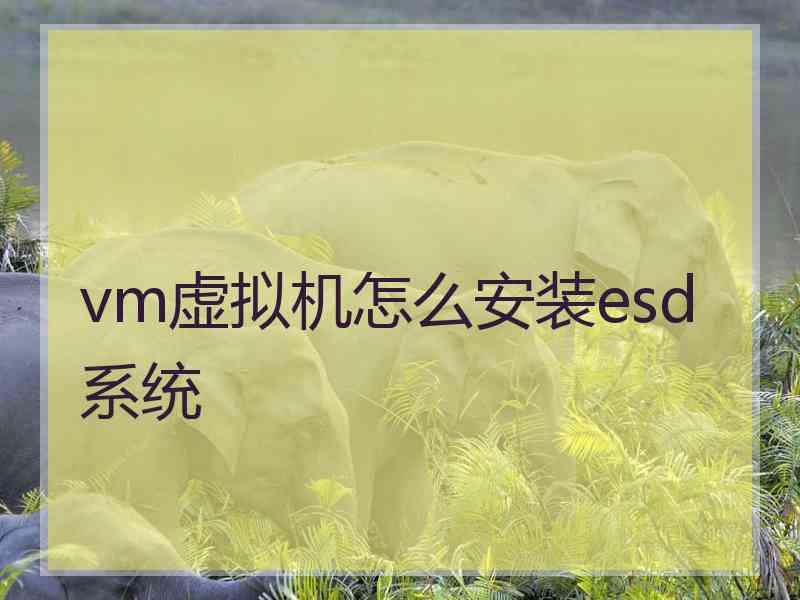 vm虚拟机怎么安装esd系统