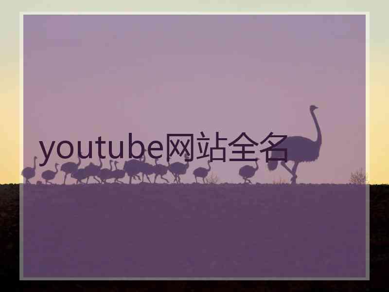 youtube网站全名