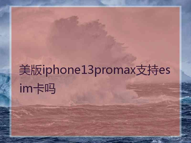 美版iphone13promax支持esim卡吗