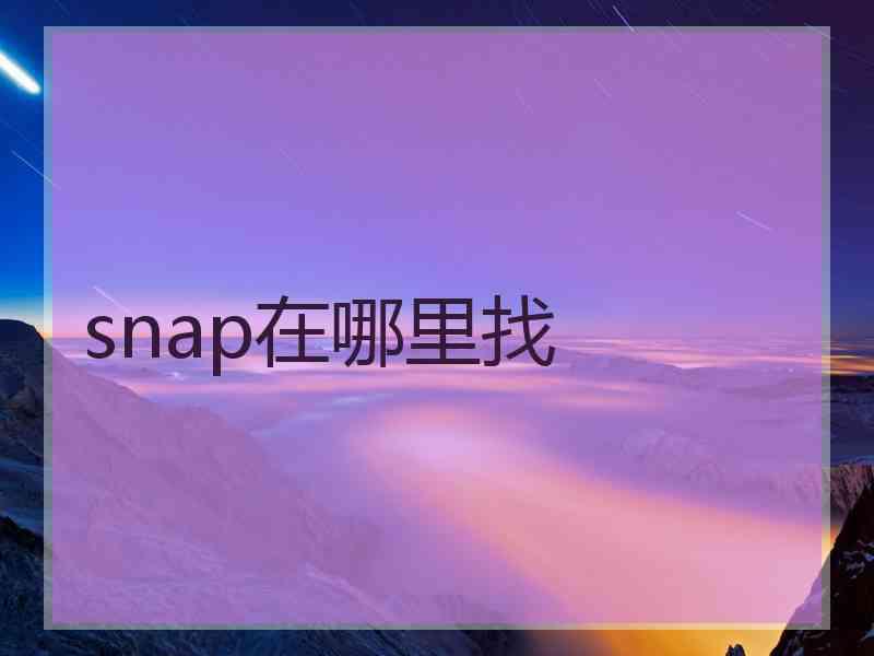 snap在哪里找