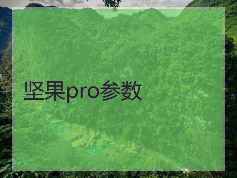 坚果pro参数