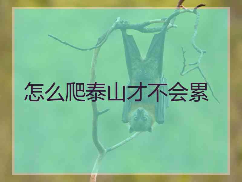 怎么爬泰山才不会累