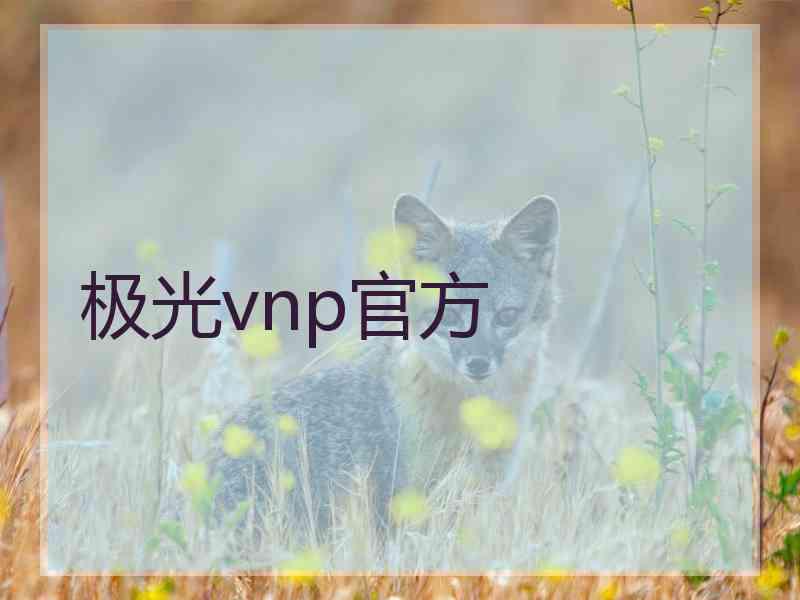 极光vnp官方