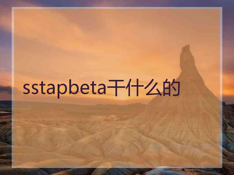 sstapbeta干什么的