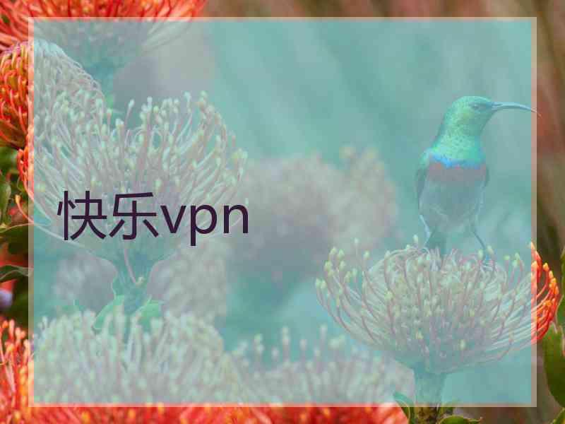 快乐vpn