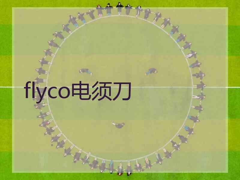 flyco电须刀