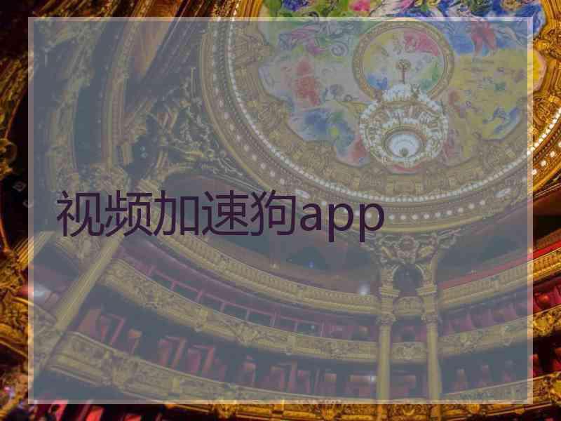 视频加速狗app