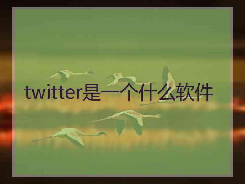 twitter是一个什么软件