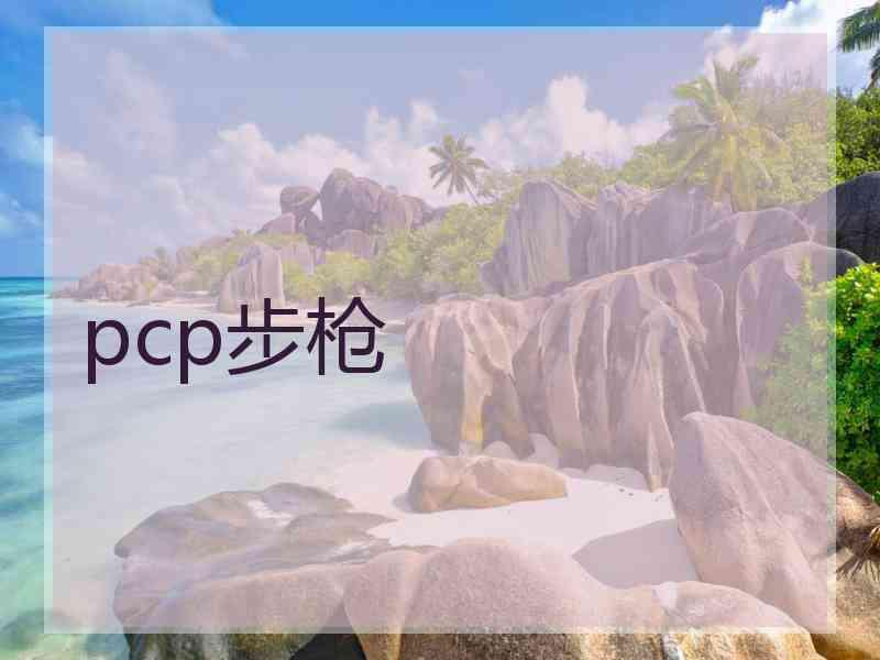 pcp步枪