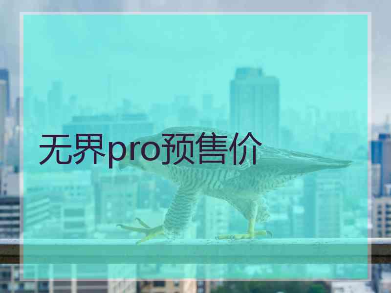 无界pro预售价