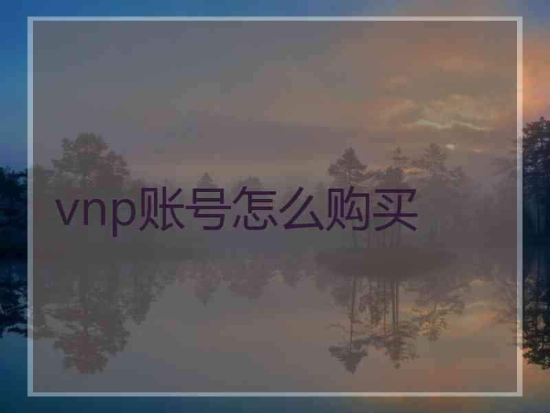 vnp账号怎么购买