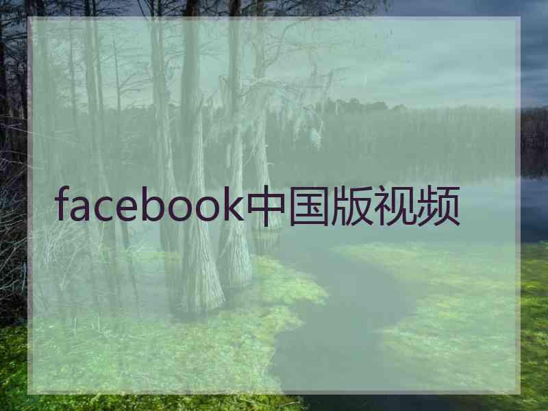 facebook中国版视频