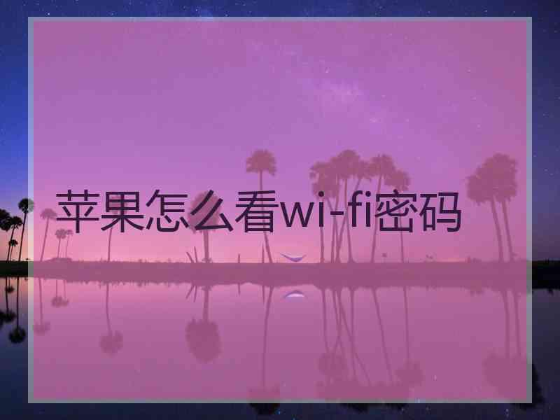 苹果怎么看wi-fi密码