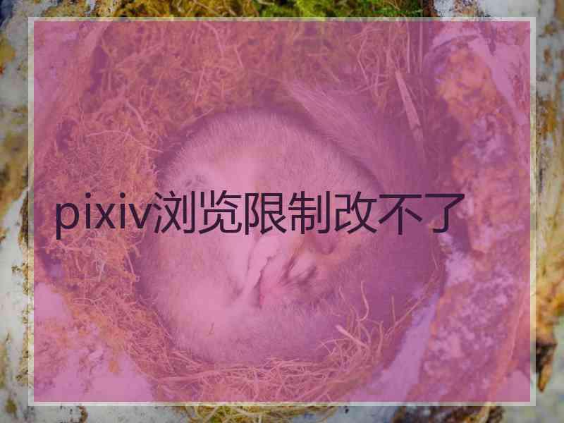 pixiv浏览限制改不了