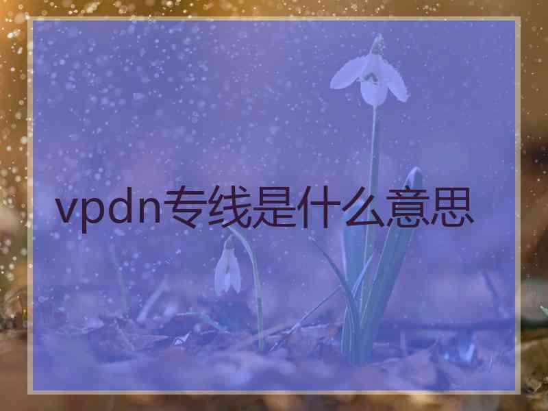 vpdn专线是什么意思