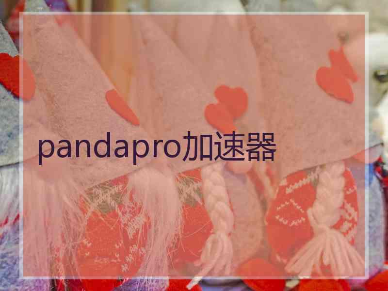 pandapro加速器