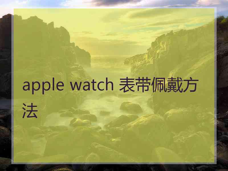 apple watch 表带佩戴方法