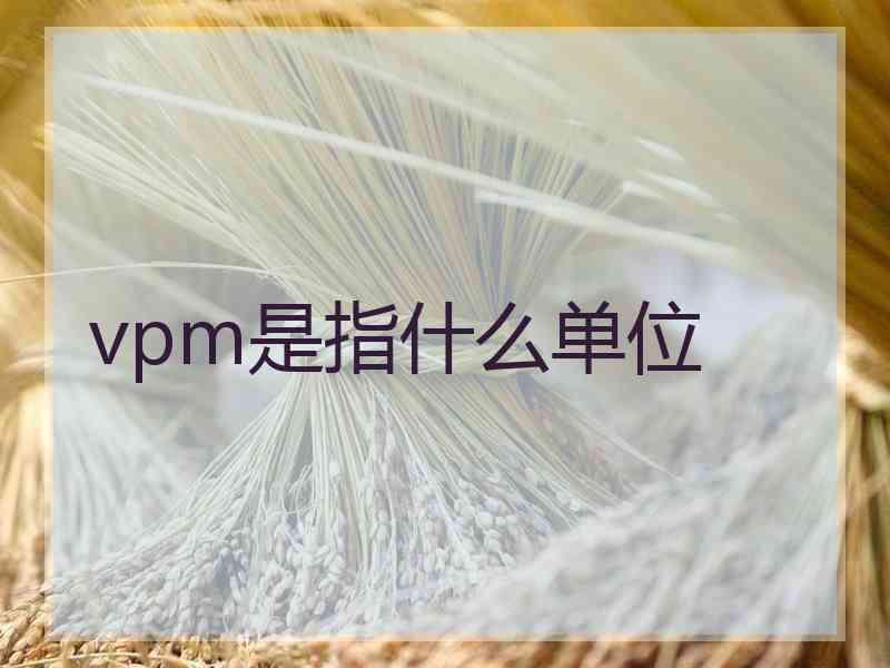 vpm是指什么单位