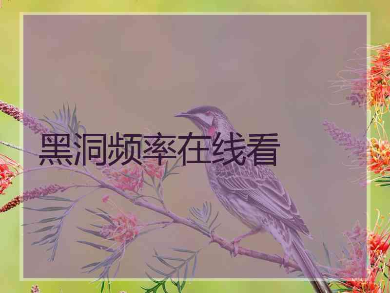 黑洞频率在线看