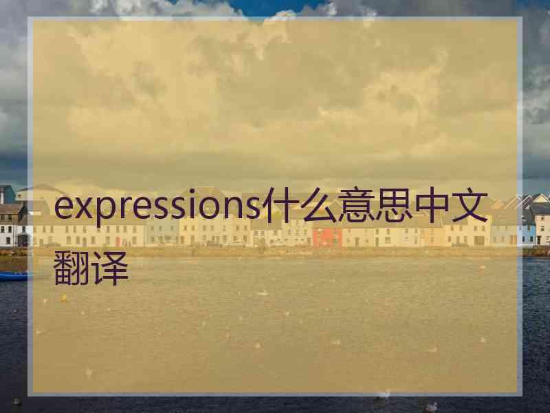 expressions什么意思中文翻译