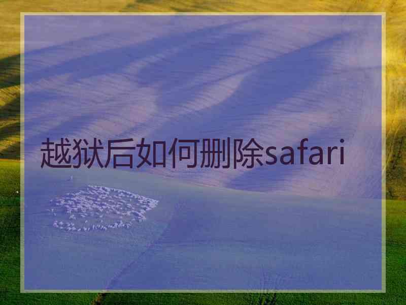 越狱后如何删除safari