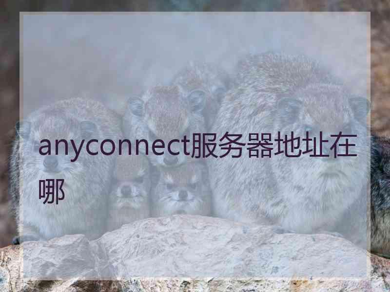 anyconnect服务器地址在哪