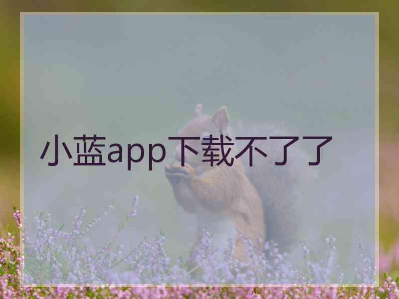 小蓝app下载不了了