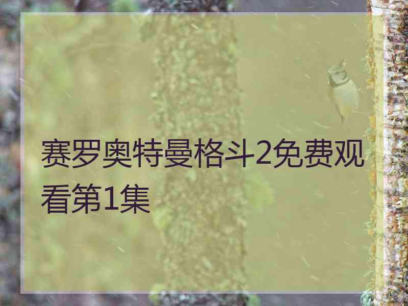 赛罗奥特曼格斗2免费观看第1集