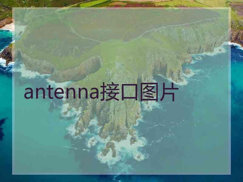 antenna接口图片