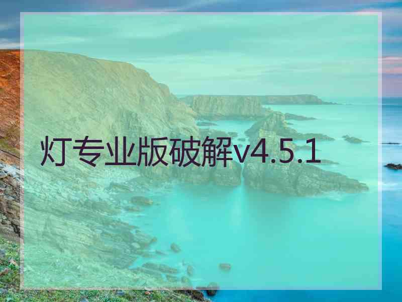 灯专业版破解v4.5.1