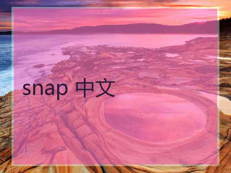 snap 中文