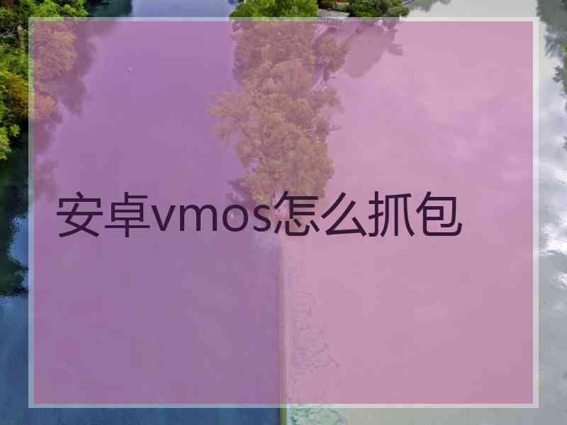 安卓vmos怎么抓包