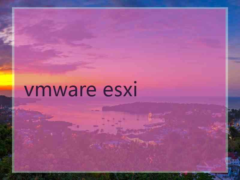 vmware esxi