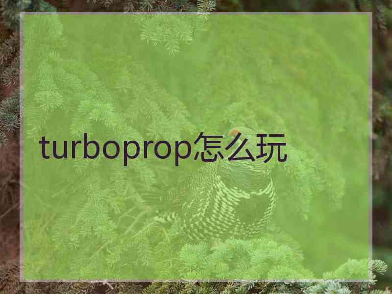 turboprop怎么玩