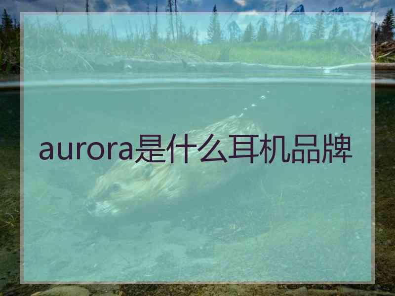 aurora是什么耳机品牌