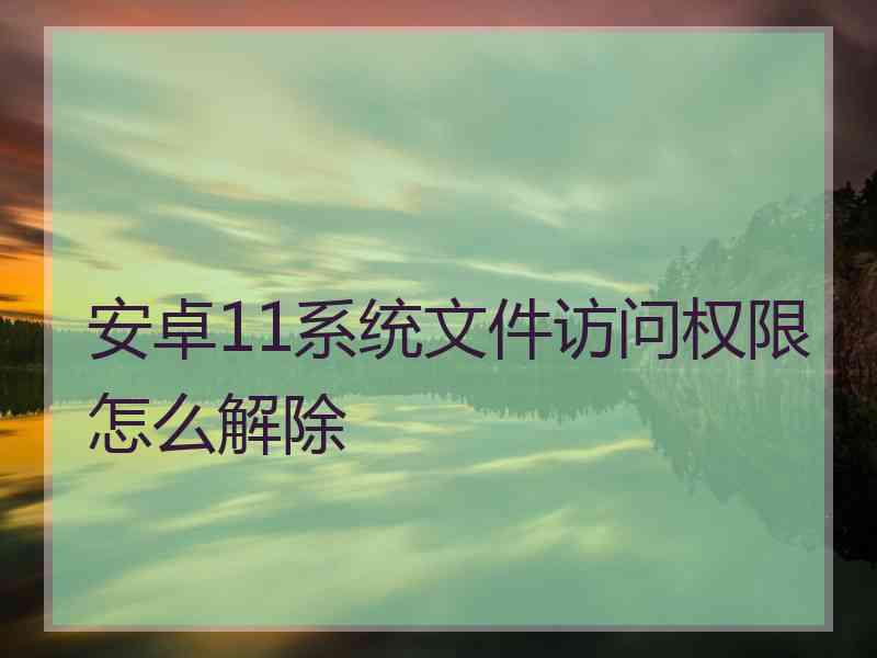 安卓11系统文件访问权限怎么解除