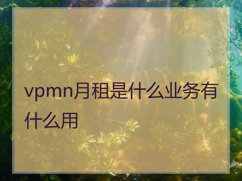 vpmn月租是什么业务有什么用